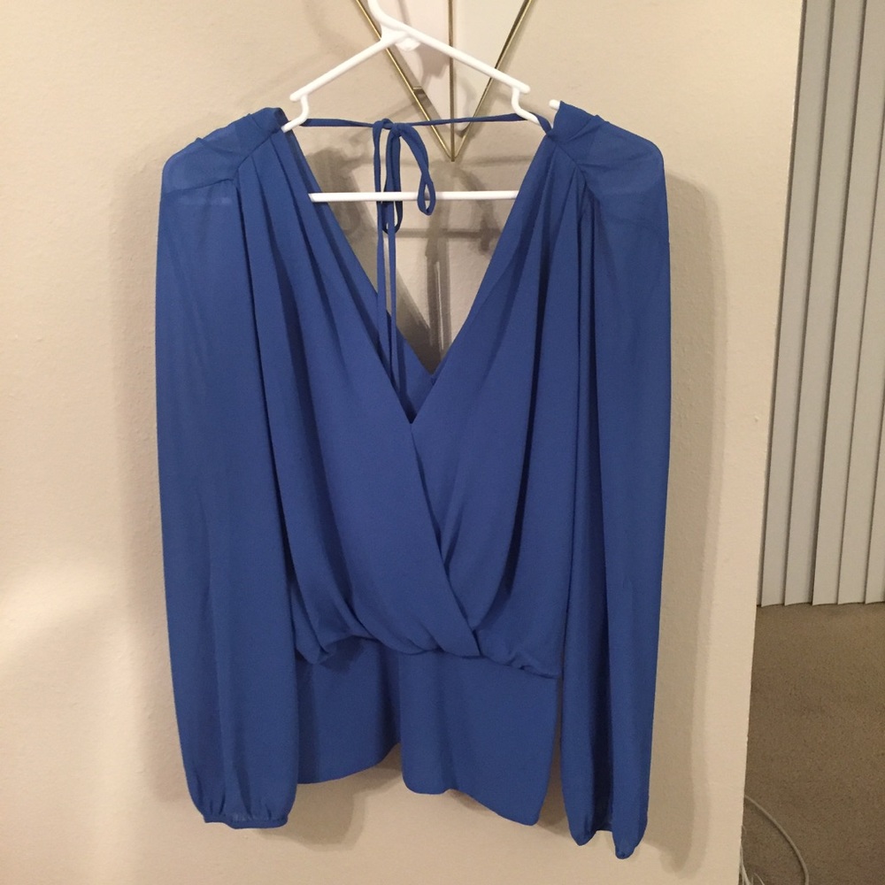 Naked Zebra Sheer Blue Blouse